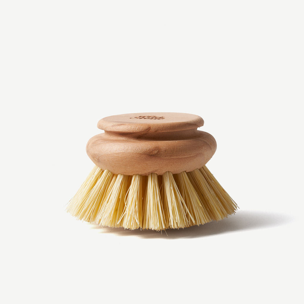 Eco Friendly | Dish Brush Refill